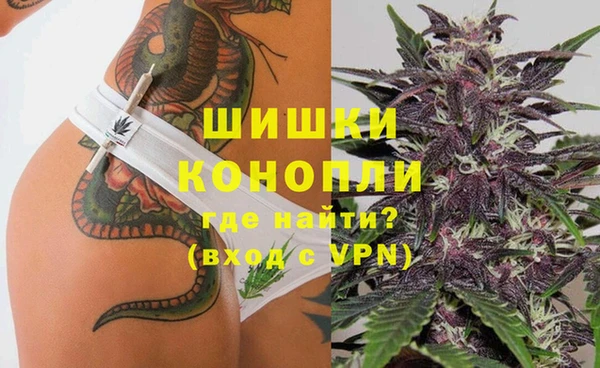 амф Елабуга