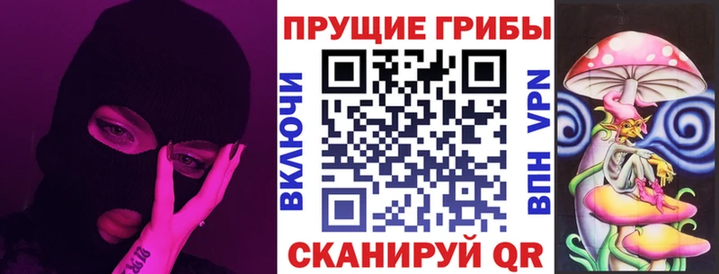 OMG маркетплейс  Пласт  Псилоцибиновые грибы мицелий 